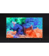 تلويزيون 55 اینچ4K UHD فیلیپس مدل55PUS6203